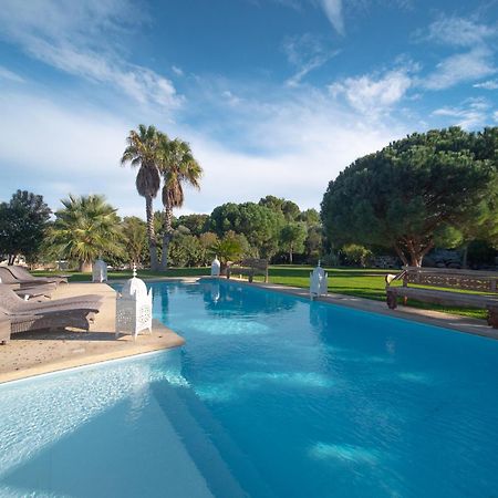 Escapades Lointaines Bed & Breakfast Perpignan Ngoại thất bức ảnh
