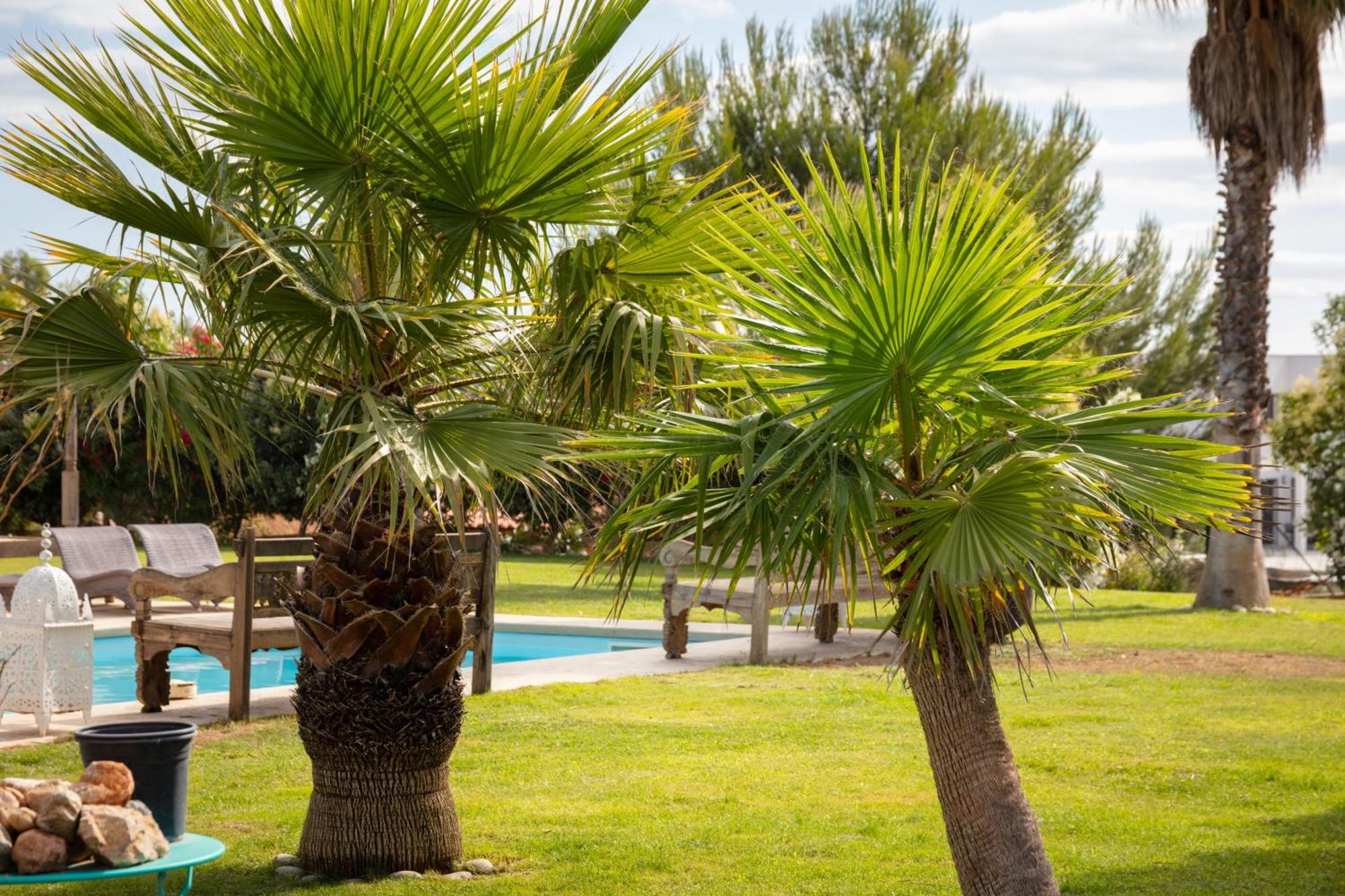 Escapades Lointaines Bed & Breakfast Perpignan Ngoại thất bức ảnh